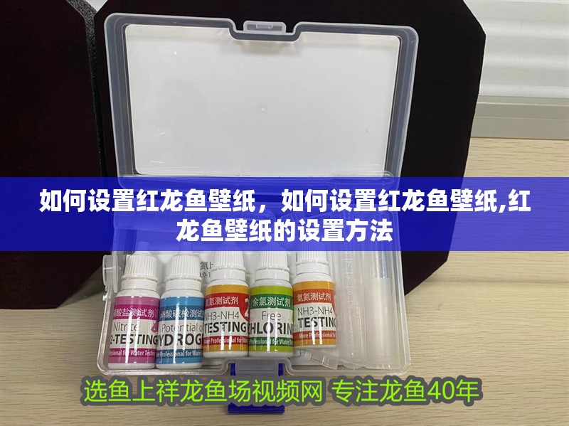 如何設置紅龍魚壁紙，如何設置紅龍魚壁紙,紅龍魚壁紙的設置方法