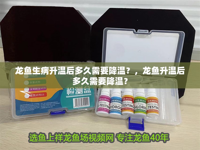 龍魚生病升溫后多久需要降溫？，龍魚升溫后多久需要降溫？