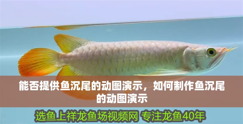 能否提供魚沉尾的動圖演示，如何制作魚沉尾的動圖演示