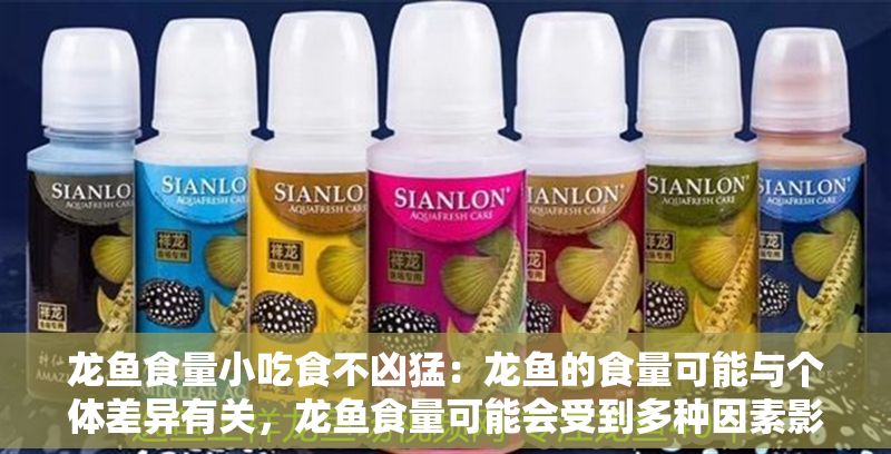 龍魚食量小吃食不兇猛：龍魚的食量可能與個體差異有關，龍魚食量可能會受到多種因素影響