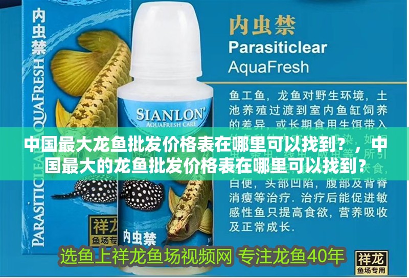 中國最大龍魚批發價格表在哪里可以找到？，中國最大的龍魚批發價格表在哪里可以找到？