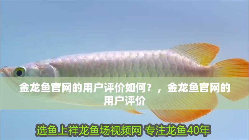 金龍魚官網(wǎng)的用戶評(píng)價(jià)如何？，金龍魚官網(wǎng)的用戶評(píng)價(jià)