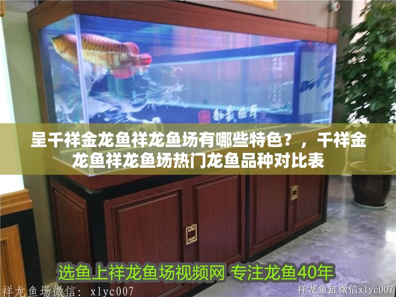 呈千祥金龍魚祥龍魚場(chǎng)有哪些特色？，千祥金龍魚祥龍魚場(chǎng)熱門龍魚品種對(duì)比表