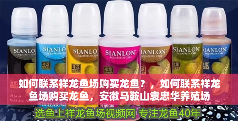 如何聯(lián)系祥龍魚場購買龍魚？，如何聯(lián)系祥龍魚場購買龍魚，安徽馬鞍山袁忠華養(yǎng)殖場