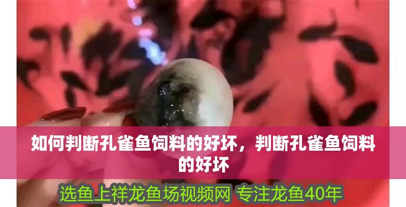 如何判斷孔雀魚飼料的好壞，判斷孔雀魚飼料的好壞