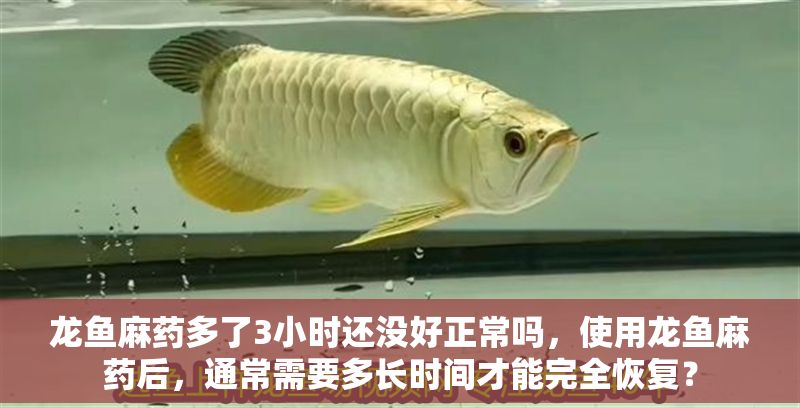 龍魚麻藥多了3小時還沒好正常嗎，使用龍魚麻藥后，通常需要多長時間才能完全恢復？