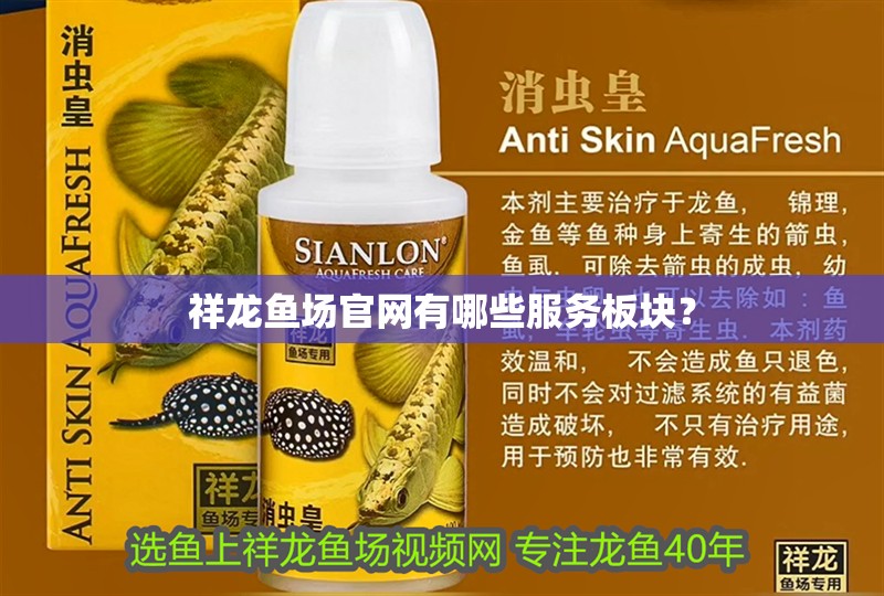 祥龍魚場官網有哪些服務板塊？