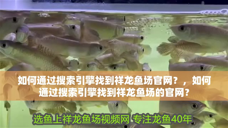 如何通過搜索引擎找到祥龍魚場官網？，如何通過搜索引擎找到祥龍魚場的官網？