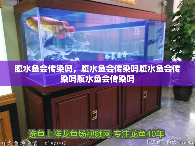 腹水魚會傳染嗎，腹水魚會傳染嗎腹水魚會傳染嗎腹水魚會傳染嗎