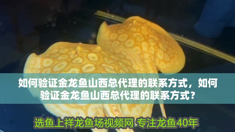 如何驗證金龍魚山西總代理的聯系方式，如何驗證金龍魚山西總代理的聯系方式？