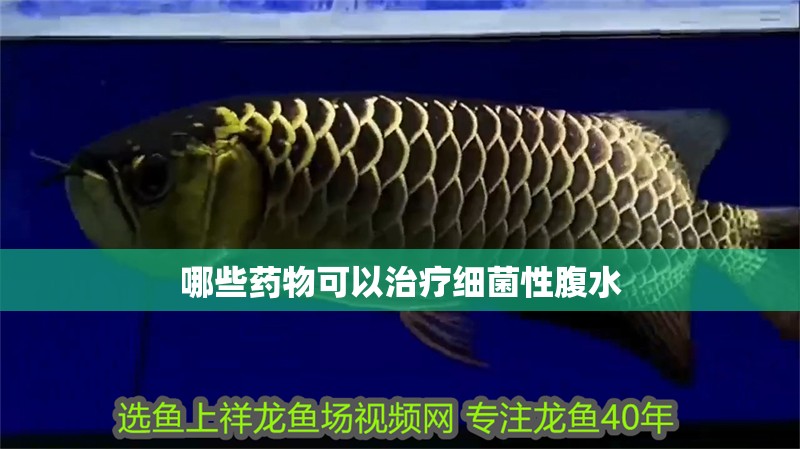 哪些藥物可以治療細菌性腹水
