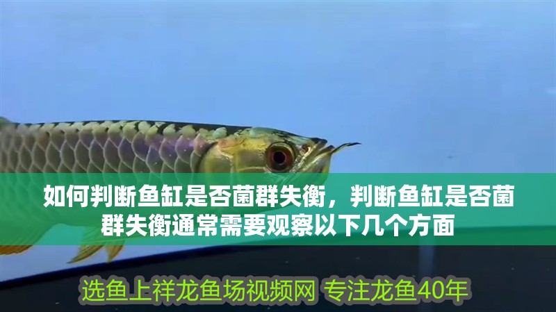 如何判斷魚缸是否菌群失衡，判斷魚缸是否菌群失衡通常需要觀察以下幾個方面