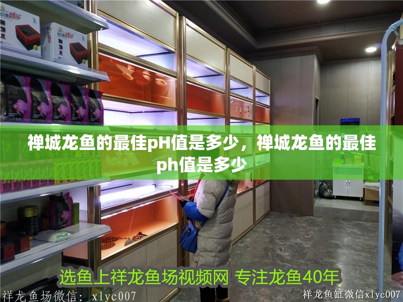 禪城龍魚的最佳pH值是多少，禪城龍魚的最佳ph值是多少
