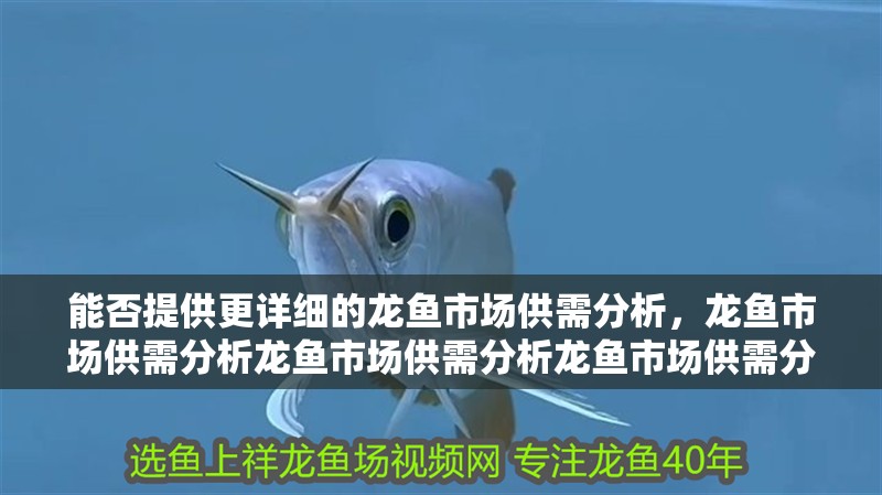 能否提供更詳細的龍魚市場供需分析，龍魚市場供需分析龍魚市場供需分析龍魚市場供需分析