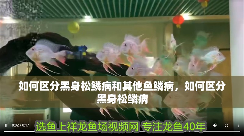如何區分黑身松鱗病和其他魚鱗病，如何區分黑身松鱗病