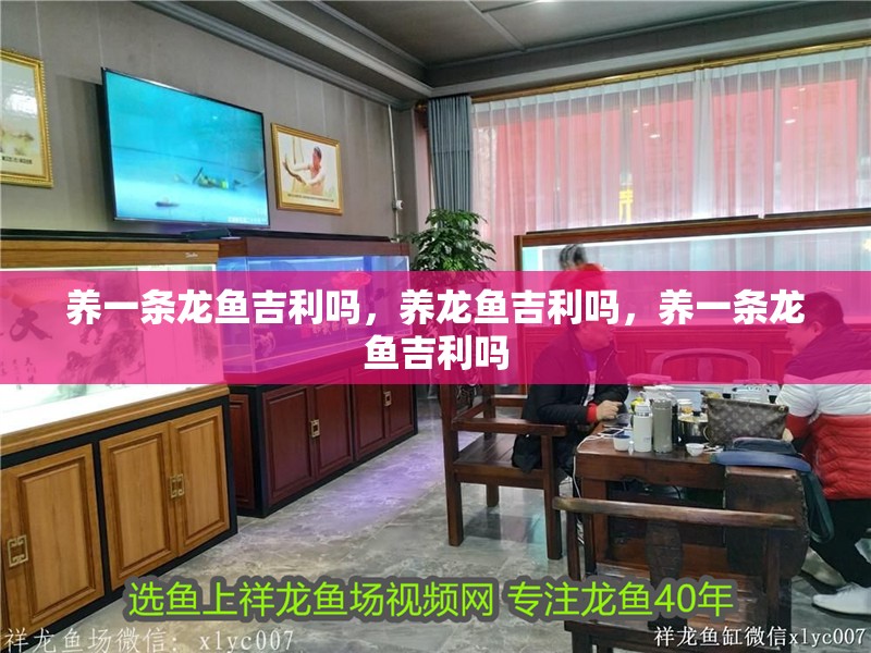養一條龍魚吉利嗎，養龍魚吉利嗎，養一條龍魚吉利嗎