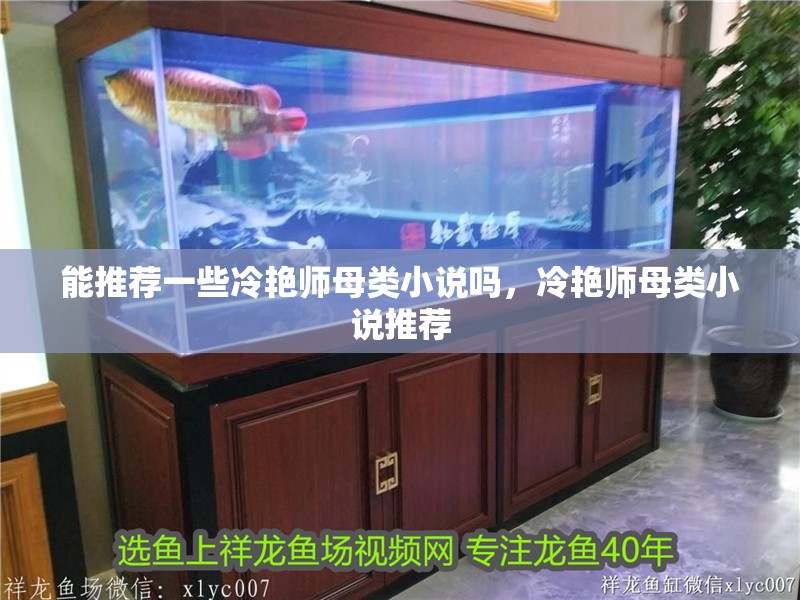 能推薦一些冷艷師母類小說嗎，冷艷師母類小說推薦