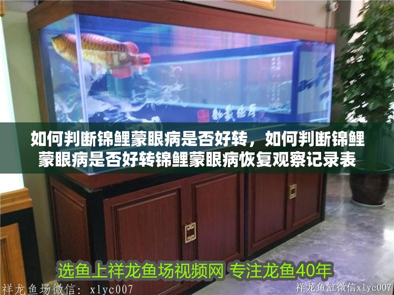 如何判斷錦鯉蒙眼病是否好轉，如何判斷錦鯉蒙眼病是否好轉錦鯉蒙眼病恢復觀察記錄表