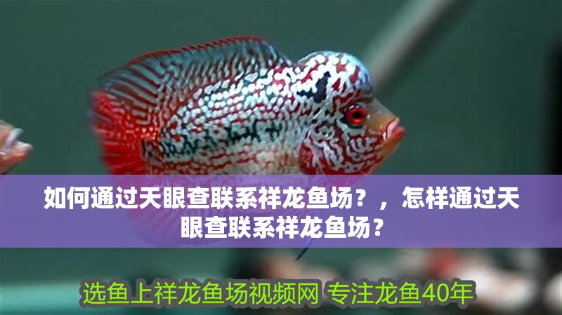如何通過天眼查聯系祥龍魚場？，怎樣通過天眼查聯系祥龍魚場？
