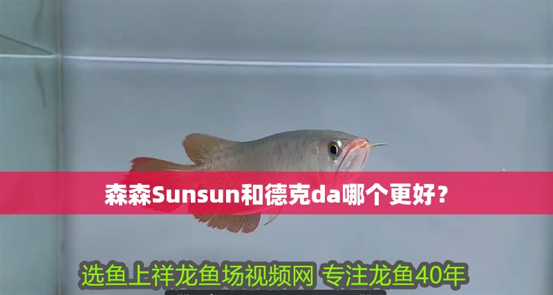 森森Sunsun和德克da哪個(gè)更好？