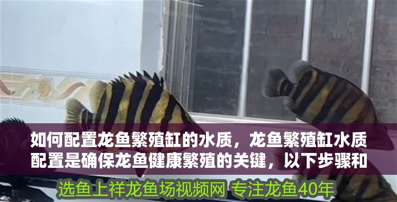 如何配置龍魚繁殖缸的水質，龍魚繁殖缸水質配置是確保龍魚健康繁殖的關鍵，以下步驟和建議