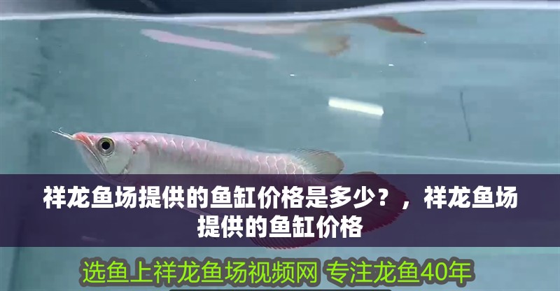 祥龍魚場提供的魚缸價格是多少？，祥龍魚場提供的魚缸價格