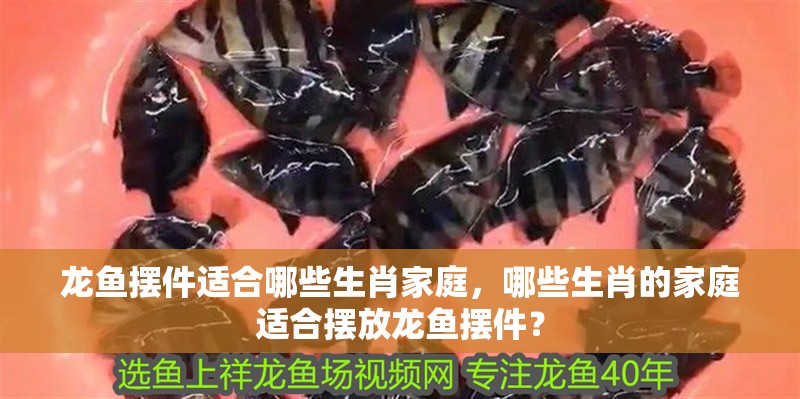 龍魚擺件適合哪些生肖家庭，哪些生肖的家庭適合擺放龍魚擺件？