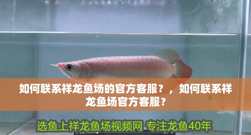 如何聯系祥龍魚場的官方客服？，如何聯系祥龍魚場官方客服？