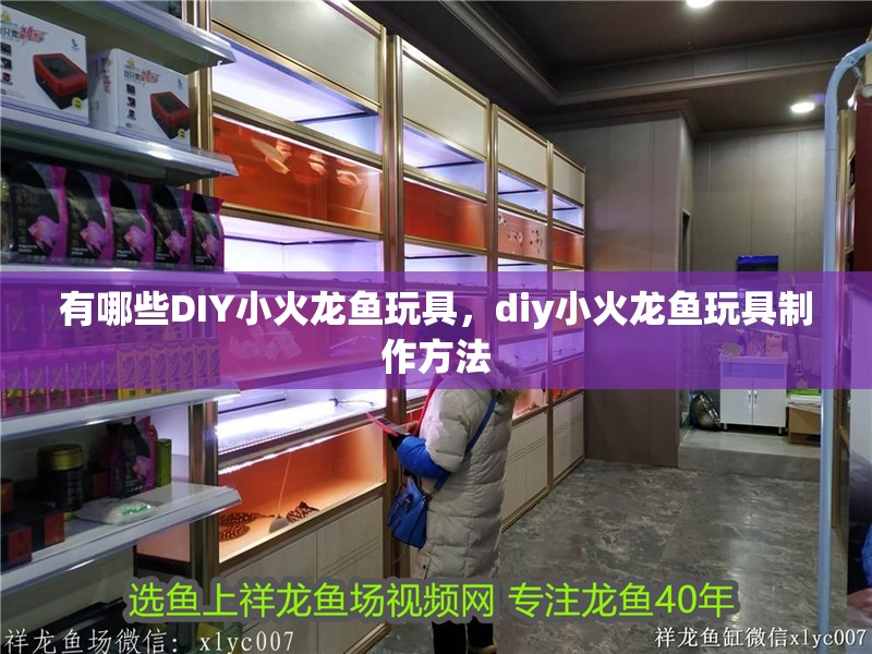有哪些DIY小火龍魚玩具，diy小火龍魚玩具制作方法