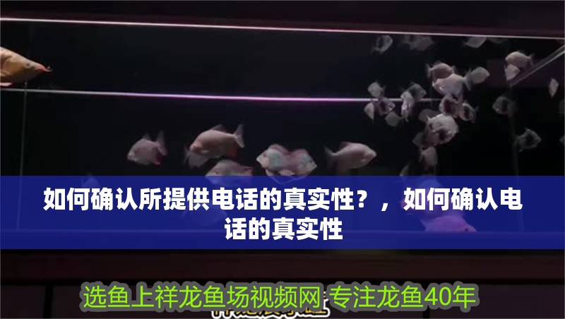 如何確認(rèn)所提供電話的真實(shí)性？，如何確認(rèn)電話的真實(shí)性