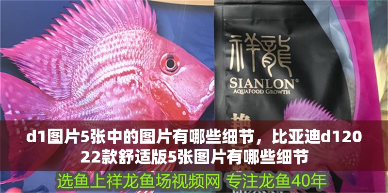 d1圖片5張中的圖片有哪些細節，比亞迪d12022款舒適版5張圖片有哪些細節