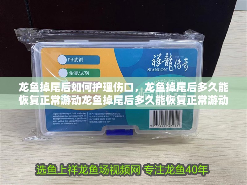 龍魚掉尾后如何護理傷口，龍魚掉尾后多久能恢復正常游動龍魚掉尾后多久能恢復正常游動