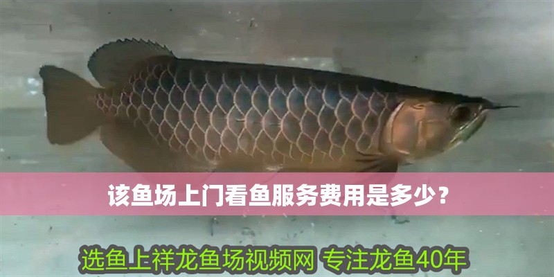 該魚場上門看魚服務費用是多少？