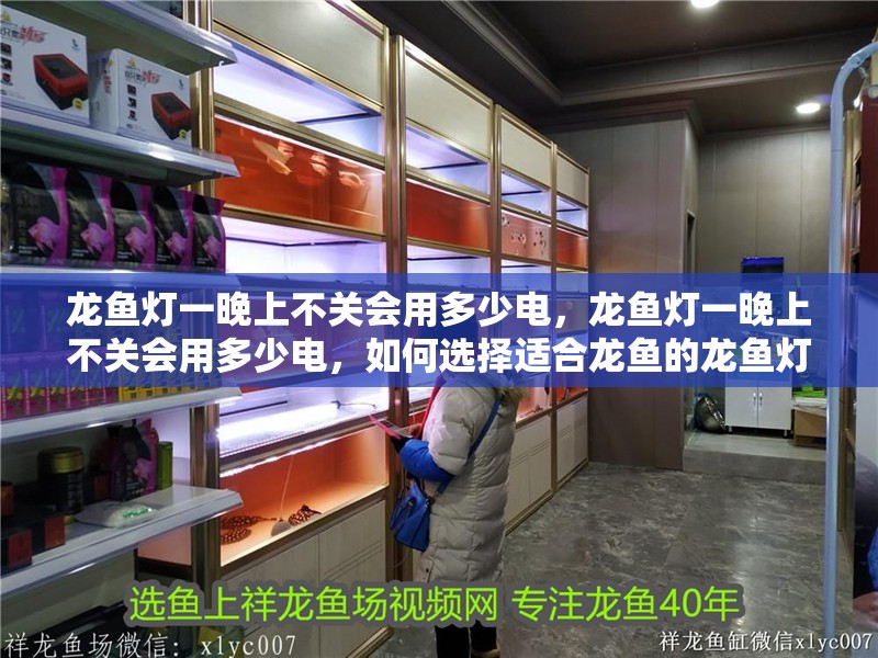 龍魚燈一晚上不關(guān)會(huì)用多少電，龍魚燈一晚上不關(guān)會(huì)用多少電，如何選擇適合龍魚的龍魚燈