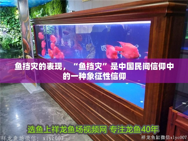 魚擋災(zāi)的表現(xiàn)，“魚擋災(zāi)”是中國民間信仰中的一種象征性信仰