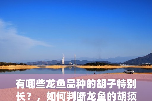 有哪些龍魚品種的胡子特別長？，如何判斷龍魚的胡須長度