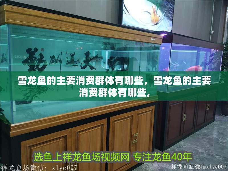 雪龍魚的主要消費群體有哪些，雪龍魚的主要消費群體有哪些,