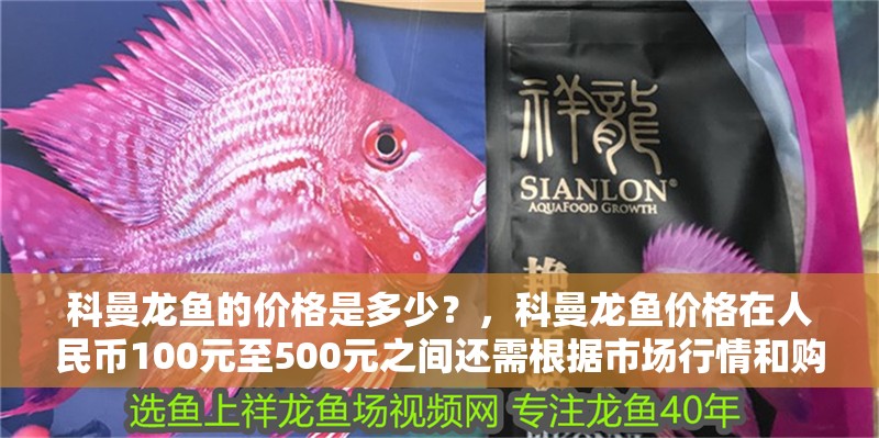 科曼龍魚(yú)的價(jià)格是多少？，科曼龍魚(yú)價(jià)格在人民幣100元至500元之間還需根據(jù)市場(chǎng)行情和購(gòu)買(mǎi)地點(diǎn)來(lái)確定