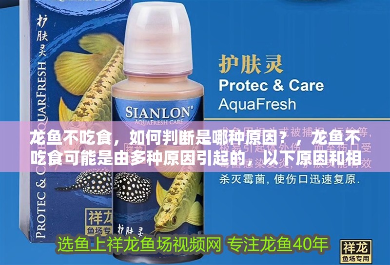 龍魚不吃食，如何判斷是哪種原因？，龍魚不吃食可能是由多種原因引起的，以下原因和相應(yīng)的解決方法