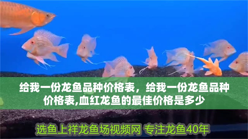 給我一份龍魚品種價格表，給我一份龍魚品種價格表,血紅龍魚的最佳價格是多少