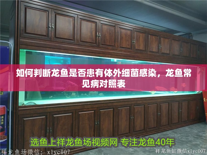 如何判斷龍魚是否患有體外細菌感染，龍魚常見病對照表