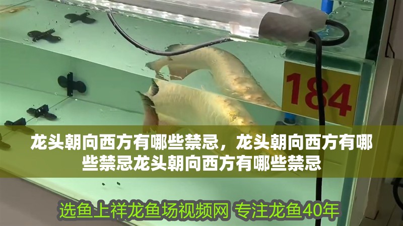 龍頭朝向西方有哪些禁忌，龍頭朝向西方有哪些禁忌龍頭朝向西方有哪些禁忌