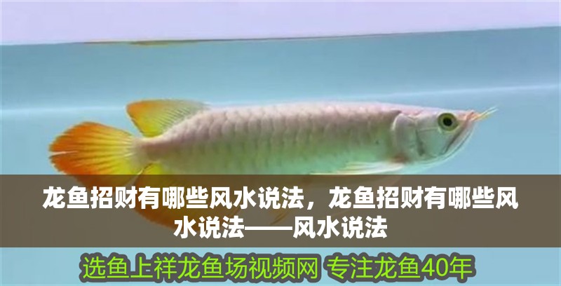 龍魚招財有哪些風水說法，龍魚招財有哪些風水說法——風水說法