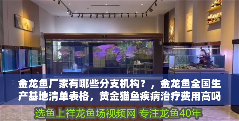 金龍魚廠家有哪些分支機構？，金龍魚全國生產基地清單表格，黃金貓魚疾病治療費用高嗎