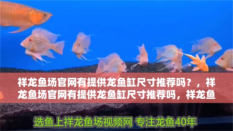 祥龍魚場官網有提供龍魚缸尺寸推薦嗎？，祥龍魚場官網有提供龍魚缸尺寸推薦嗎，祥龍魚缸尺寸推薦