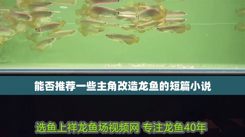 能否推薦一些主角改造龍魚的短篇小說