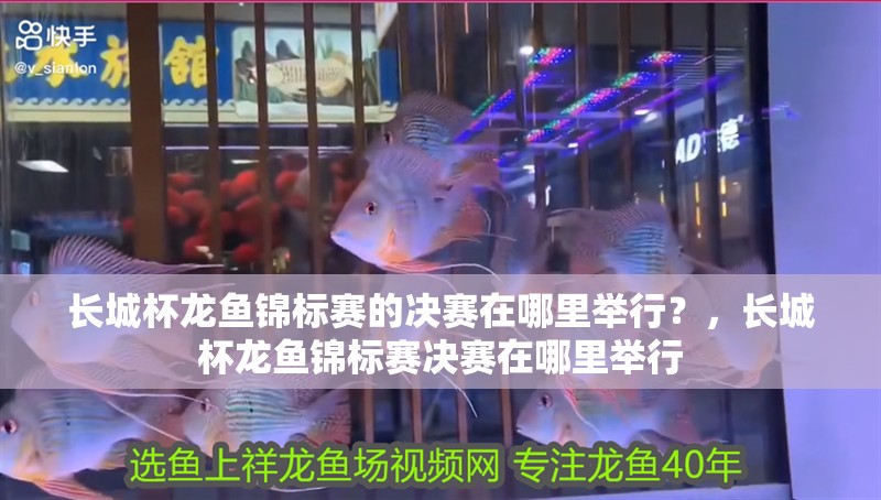 長城杯龍魚錦標賽的決賽在哪里舉行？，長城杯龍魚錦標賽決賽在哪里舉行