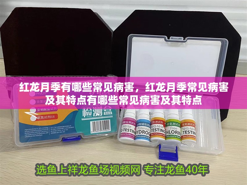 紅龍月季有哪些常見病害，紅龍月季常見病害及其特點有哪些常見病害及其特點