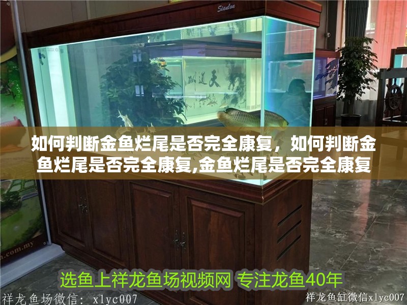 如何判斷金魚爛尾是否完全康復，如何判斷金魚爛尾是否完全康復,金魚爛尾是否完全康復