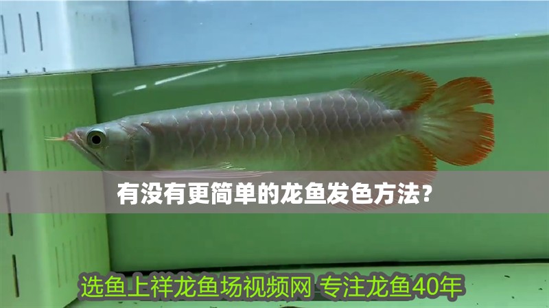 有沒有更簡單的龍魚發色方法？